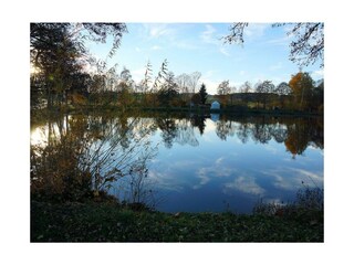 Angeln beim Fischereiverein