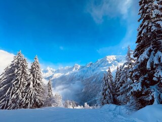 Apartment Les Houches Umgebung 20