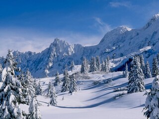 Apartment Les Houches Umgebung 23
