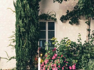 Appartement La Roche-Posay Buitenaudio-opname 5
