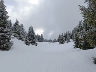 Apartamento Les Houches Entorno 14