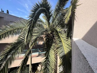 Apartment Cavalaire-sur-Mer  20