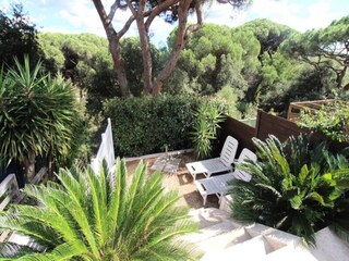 Appartement Cogolin  6