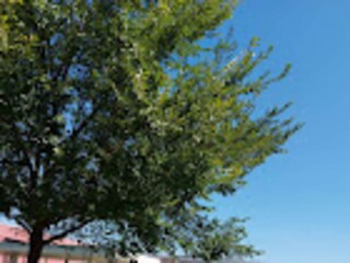 Apartamento Avignon Grabación al aire libre 11