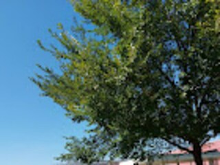 Apartment Avignon Outdoor Recording 31