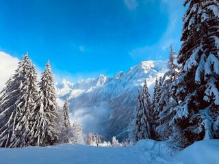 Apartment Les Houches Umgebung 22
