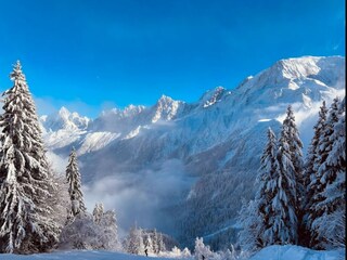 Appartement Les Houches Omgeving 19