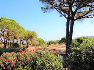 Appartement Cogolin  11