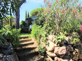Appartement Cogolin  13