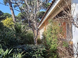 Appartement Cogolin  10