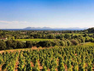 Appartement La Londe-les-Maures  28