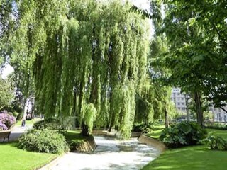 Apartment Le Havre  7