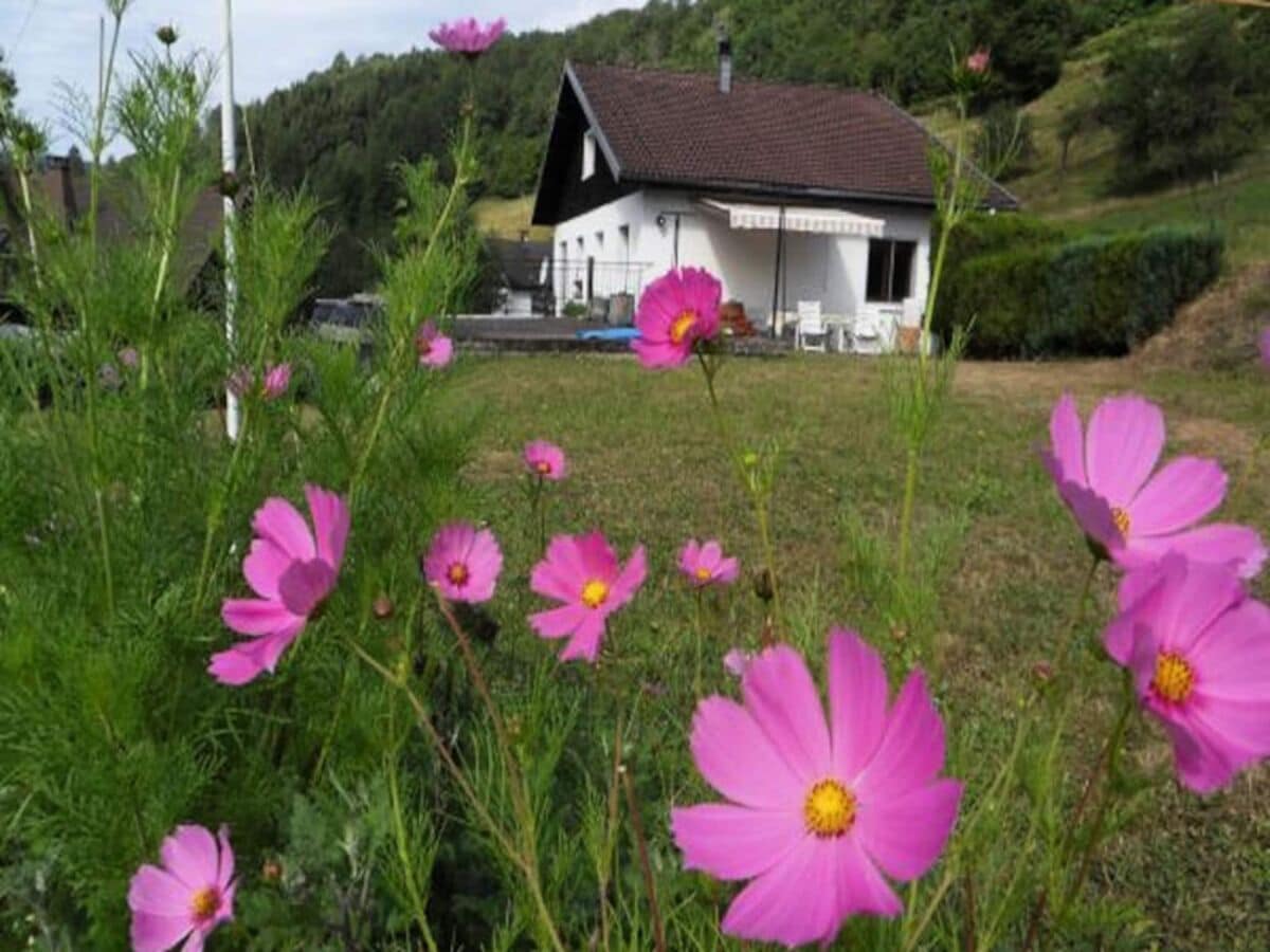 Apartment La Bresse  1