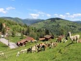 Appartement La Bresse  1