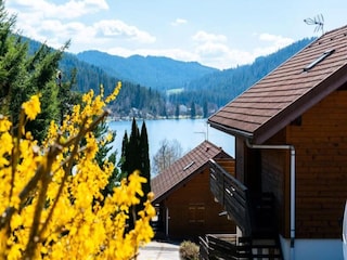 Apartment Gérardmer  7