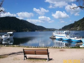 Appartement Gérardmer  12
