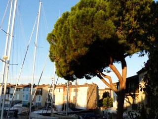 Apartamento Grimaud Características 8