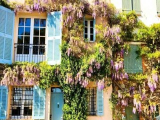 Appartement Grimaud  14