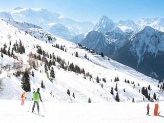 Appartement Champagny-en-Vanoise  31