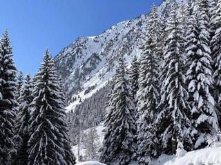 Appartement Vallée de Lesponne Environnement 19