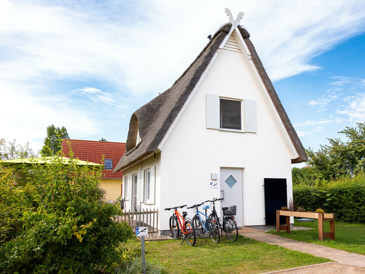 Ferienhaus Reetdachferienhaus Albatros B3