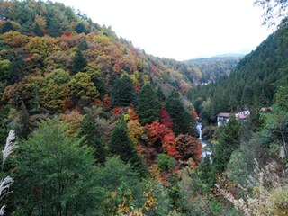 Appartement Vallée de Lesponne Environnement 30