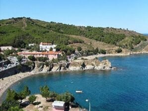 Appartement 1 Kamer 2 Personen - Banyuls-sur-Mer - image1