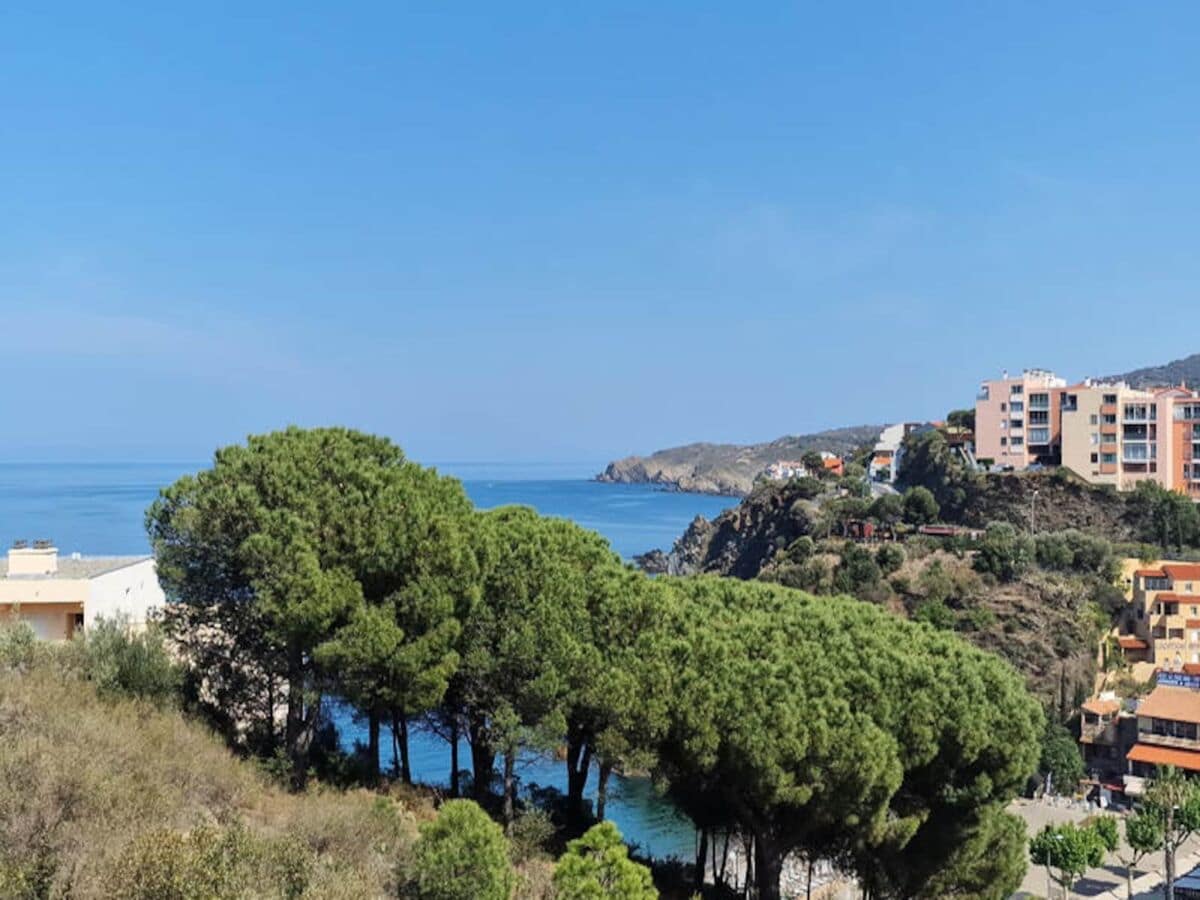 Apartment Banyuls-sur-Mer  1