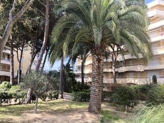 Apartment Saint-Aygulf  18