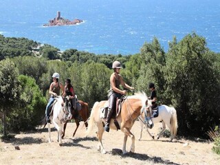 Apartamento Saint-Aygulf  7