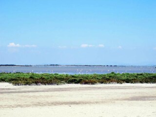Appartement Saint-Aygulf Environnement 19