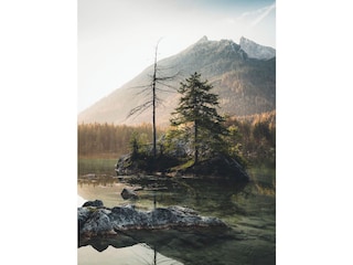 Appartamento per vacanze Marktschellenberg Ambiente 17