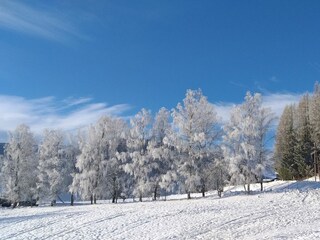 Vakantieappartement Leogang Buitenaudio-opname 10