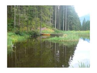 Appartamento per vacanze Leogang  39