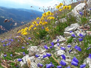 Appartamento per vacanze Leogang  41