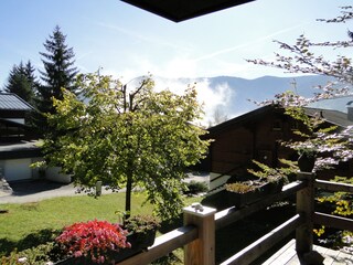 Vakantieappartement Leogang Buitenaudio-opname 6