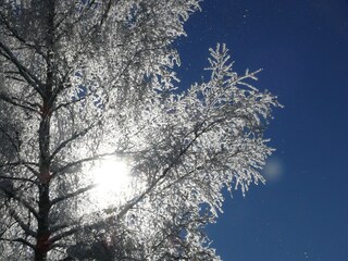 Appartamento per vacanze Leogang Registrazione all'aperto 9