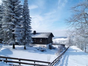 Ferienhaus "Ferienzauber Vogelsberg" - Grebenhain - image1