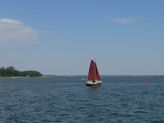 Segeln auf dem Plauer See