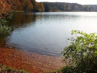 Goldener Herbst