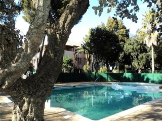 Apartamento Saint-Aygulf Grabación al aire libre 31