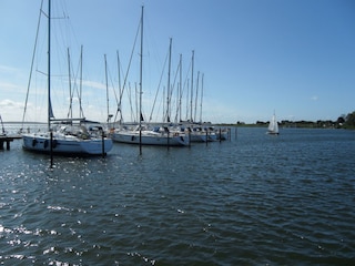 Der Hafen von Breege