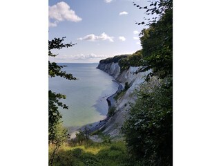 Die Kreidefelsen - das Wahrzeichen von Rügen