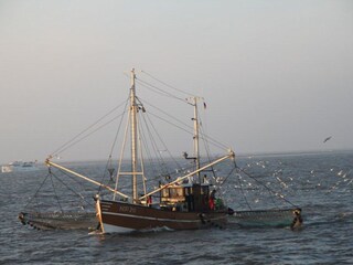 Fischkuter