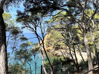 Apartment Bandol  4