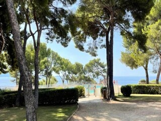 Apartment Bandol  6