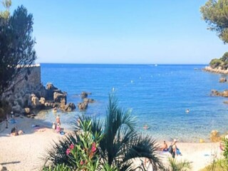 Apartment Bandol  13