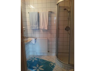 Appartamento per vacanze Piesendorf Caratteristiche 7