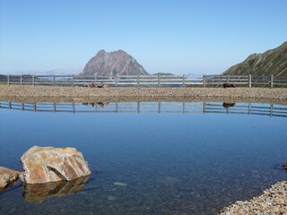 Appartamento per vacanze Piesendorf Ambiente 12