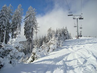 Appartamento per vacanze Piesendorf Ambiente 17